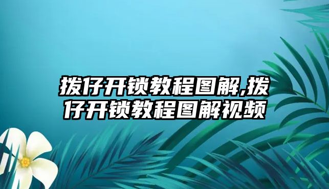 撥仔開(kāi)鎖教程圖解,撥仔開(kāi)鎖教程圖解視頻