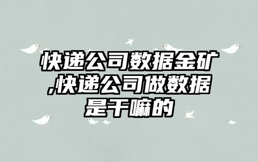 快遞公司數據金礦,快遞公司做數據是干嘛的