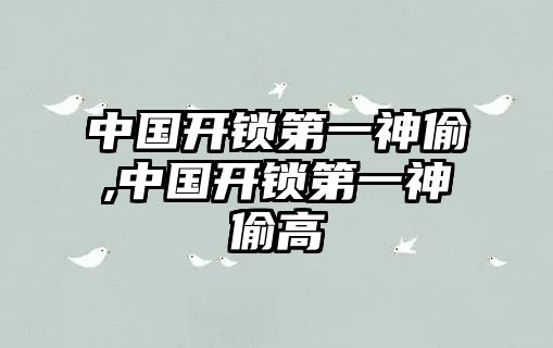 中國開鎖第一神偷,中國開鎖第一神偷高