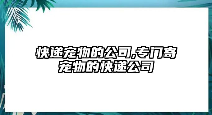 快遞寵物的公司,專門(mén)寄寵物的快遞公司