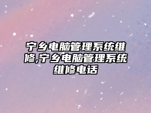 寧鄉電腦管理系統維修,寧鄉電腦管理系統維修電話