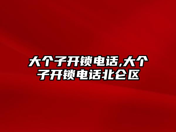 大個(gè)子開鎖電話,大個(gè)子開鎖電話北侖區(qū)